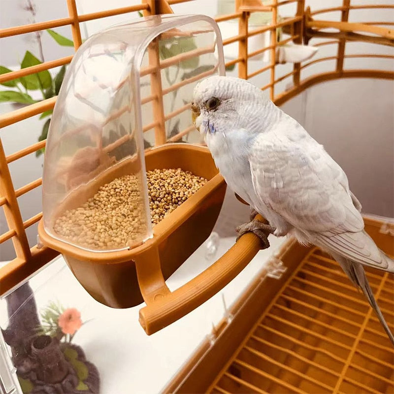 Transparent Bird Feeder.