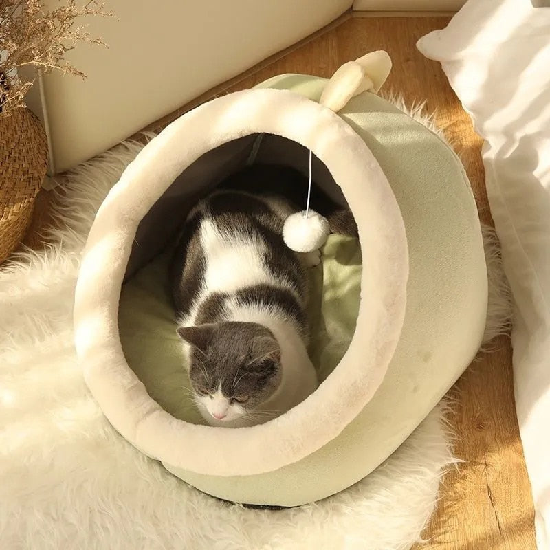 Cozy Kitten House.